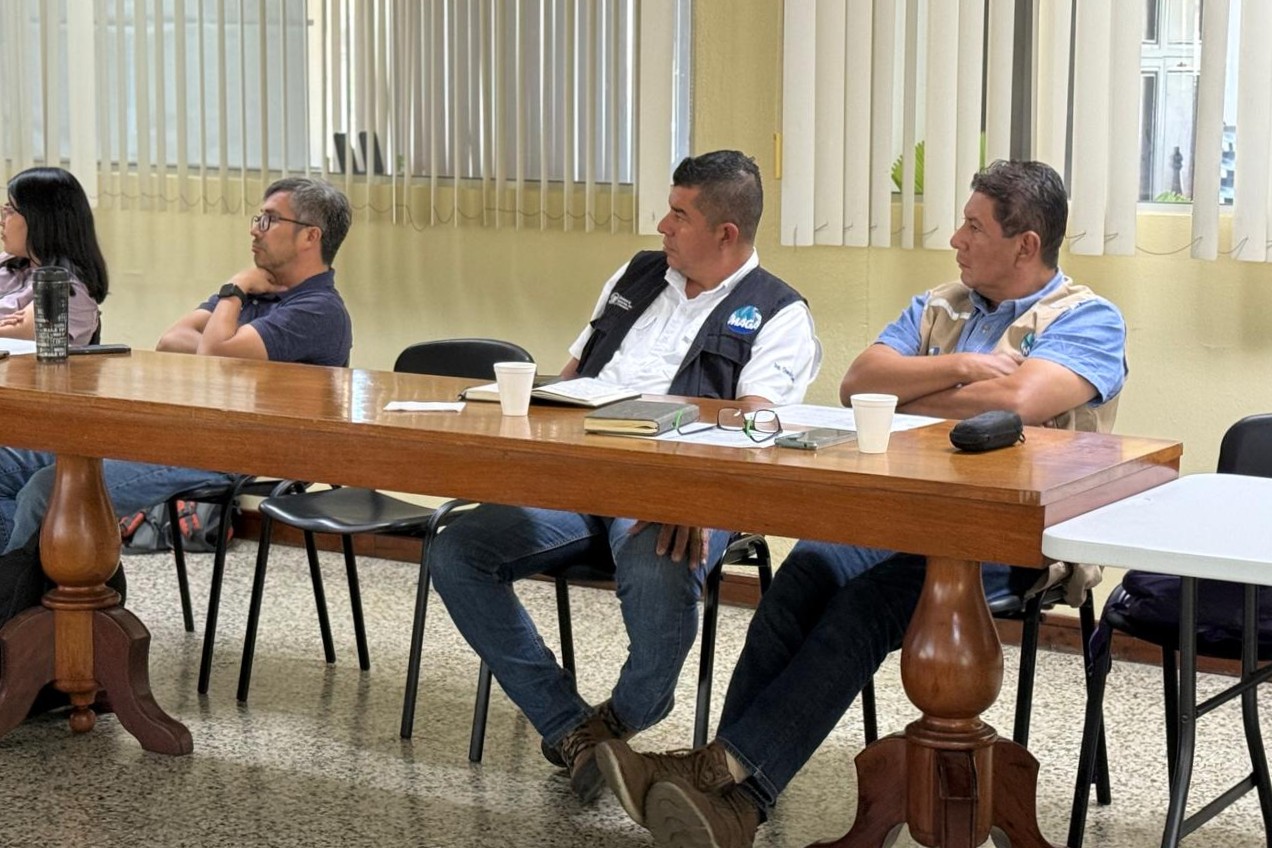 WhatsApp Image 2026-02-12 at 12.44.11 PM